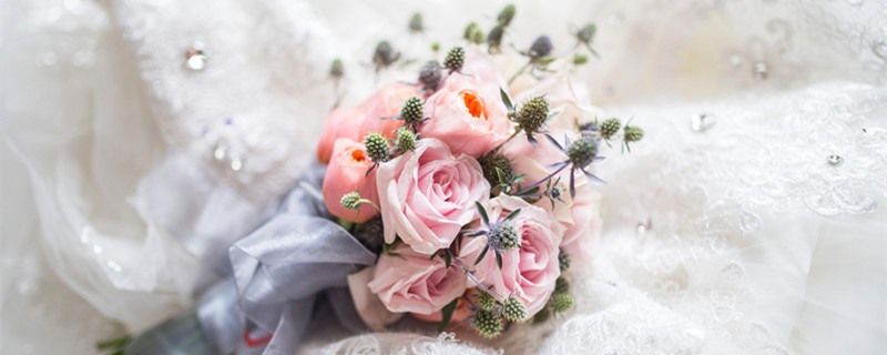 19玫瑰花数量的含义 玫瑰花的寓意数量19