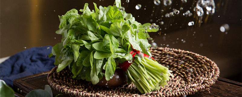 苋菜喜欢什么肥料（苋菜喜肥吗）