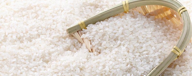 大米生虫了怎么办（天热大米生虫了怎么办）
