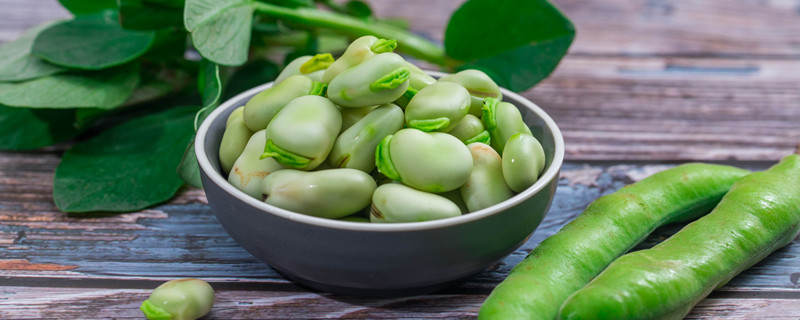 春季蔬菜种植品种 春季家庭蔬菜种植品种