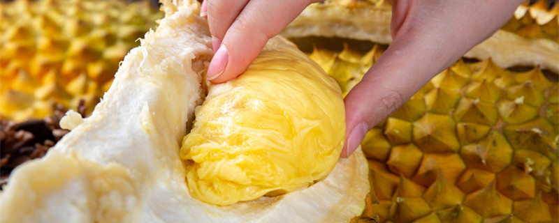 榴莲一天最多吃多少 榴莲一天能吃多少