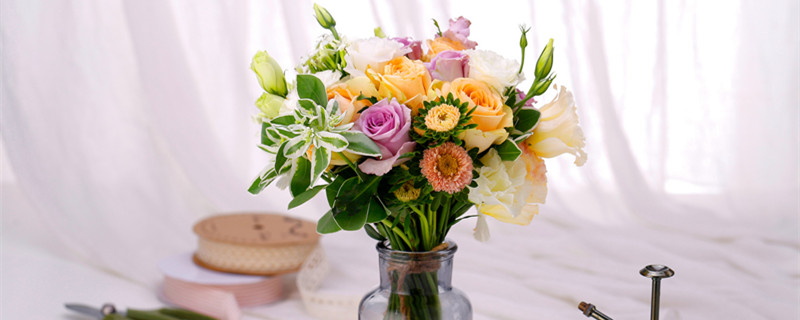 海仙花的花语 凤仙花的花语