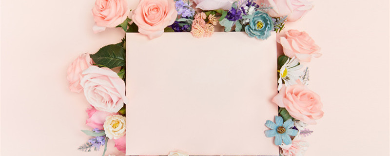 11朵粉玫瑰代表什么(11朵粉玫瑰代表什么意思18朵是啥意思)