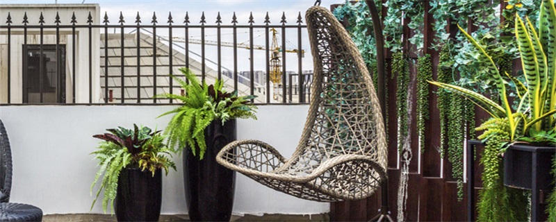 万年青的养殖方法和注意事项（广东万年青的养殖方法和注意事项）