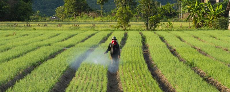 草甘膦除草剂伤树根吗 草甘膦除草剂伤树根吗?
