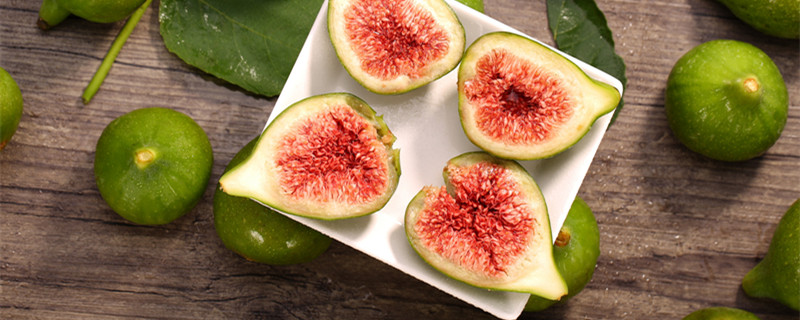 无花果怎么种（盆栽无花果怎么种）