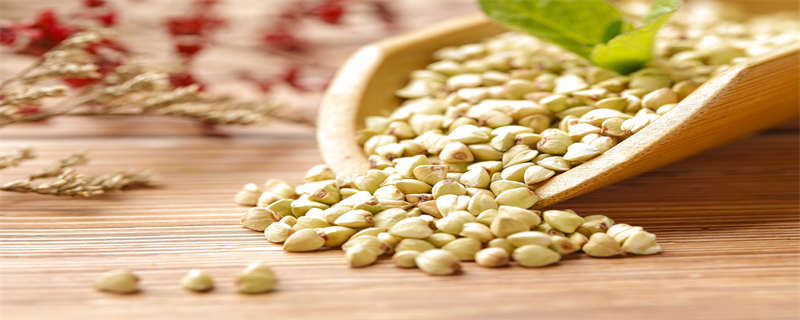 苦荞是什么植物 苦荞是什么植物它有什么用途