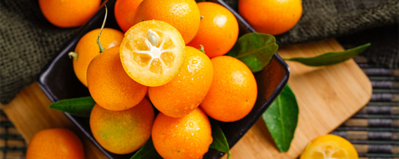 脆皮金桔盆栽的养殖方法和注意事项 脆皮金桔用什么土栽培