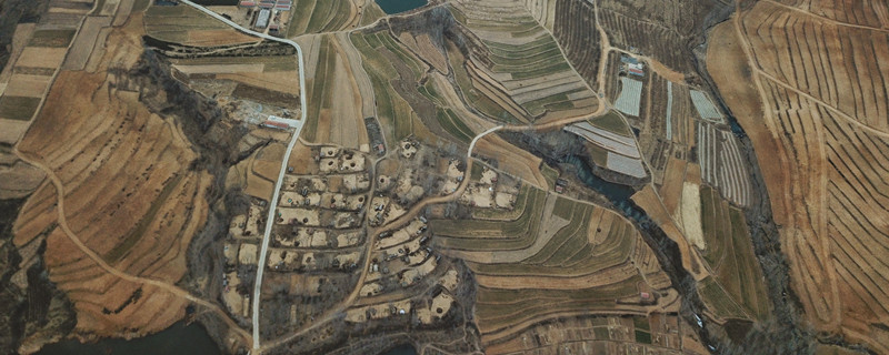 临沂七叶子是什么意思（临沂七叶子是什么意思?）