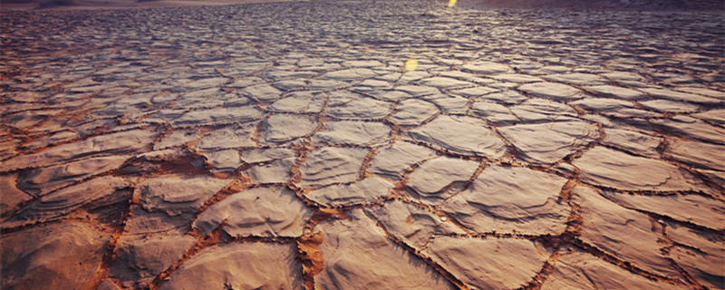 促进植物根系生长的方法 让植物根系发达的方法