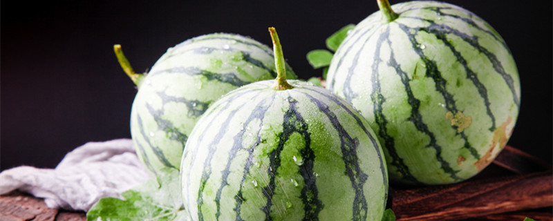 西瓜种子怎么种（西瓜种子怎么种才能发芽）