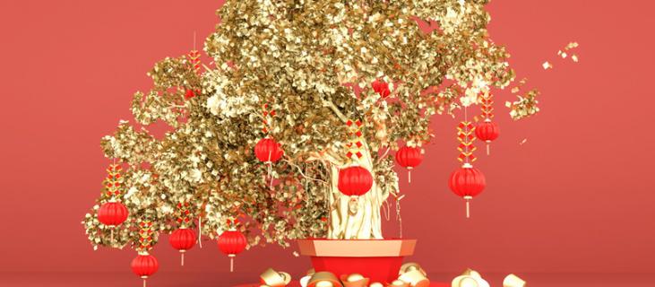 招财树的养殖方法（招财树的养殖方法和注意事项树可以施肥吗）