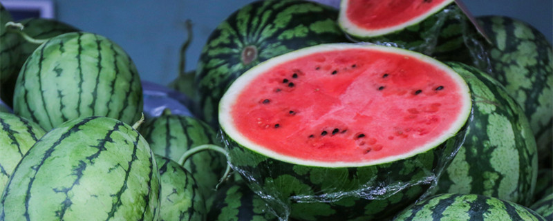 夏天成熟的水果有哪些 夏天成熟的水果有哪些写出五种