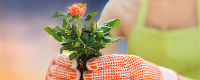 氮肥有哪些 氮肥有哪些肥料