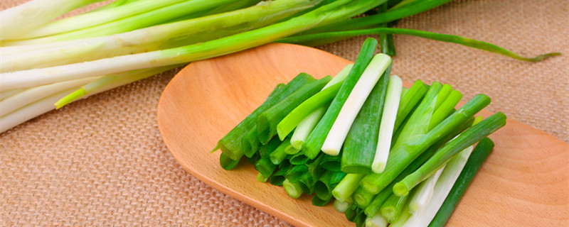 香葱的种植方法(盆栽小香葱的种植方法)
