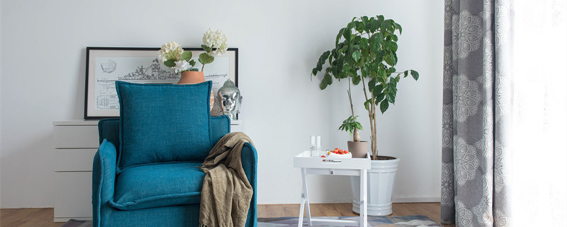 家里养牡丹吊兰的禁忌 牡丹吊兰食用禁忌