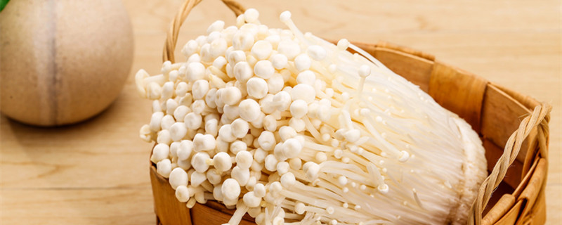 金针菇的根怎么种植（金针菇的根怎么种植方法）