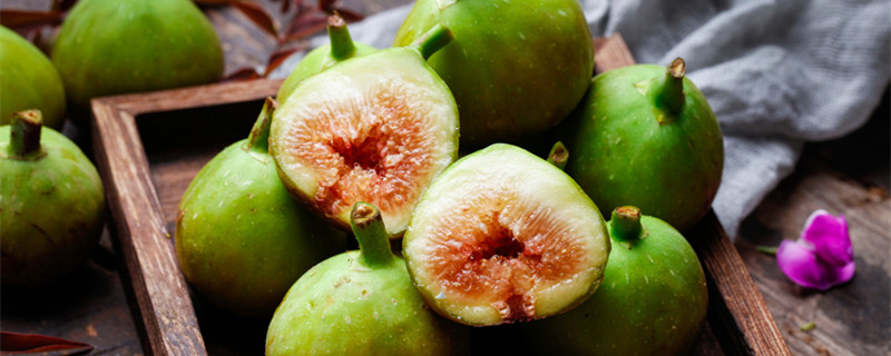 无花果零下几度会冻死（无花果树零下多少度冻不死北方种）