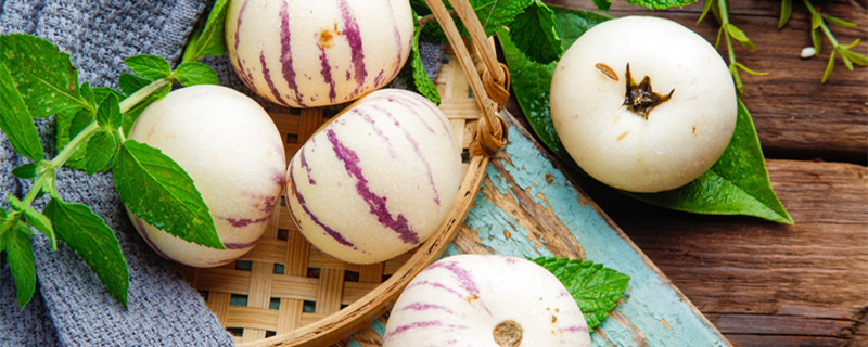 人参果怎么种植 人参果怎么种植人参果树栽培方法