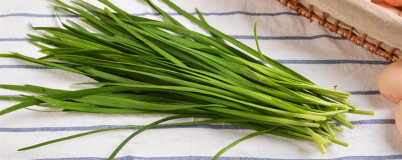 韭菜六月份能移栽吗 韭菜6月份能移栽吗