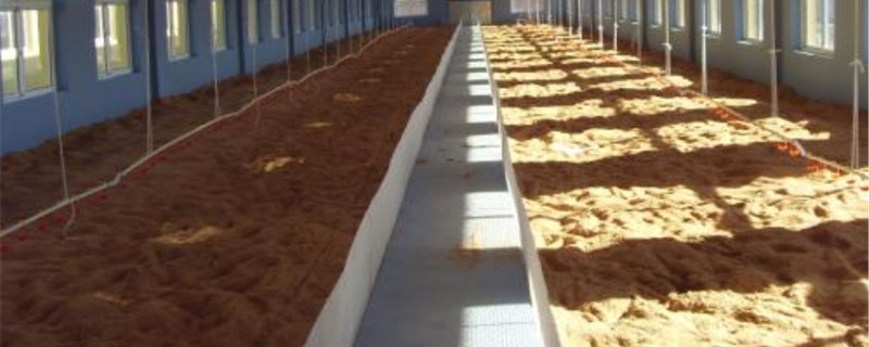 家庭自制发酵床鸡笼的方法（阳台养鸡发酵床鸡笼）