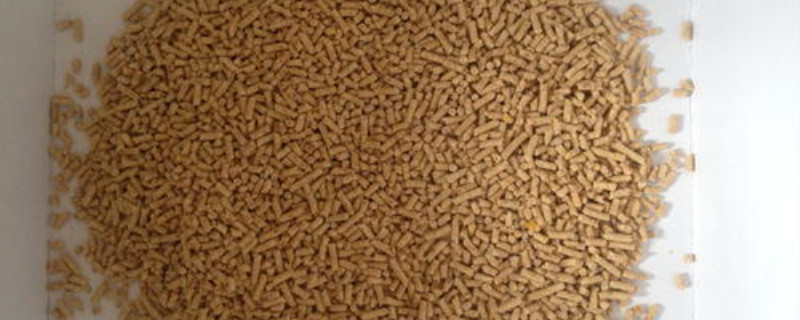 鸟饲料配方（黄腾鸟饲料配方）