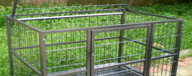 怎样在家自己建鸡笼 自己在家怎样做鸡笼子