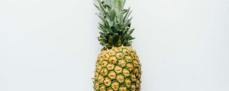 凤梨种植方法和时间（凤梨的种植时间）