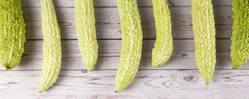 苦瓜种植株距 苦瓜的株距