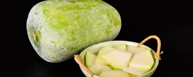 冬瓜叶子都蔫了怎么回事 冬瓜怎么结小瓜就蔫掉