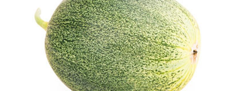 甜瓜什么时候种植最好（甜瓜什么时候种植最好 时间）