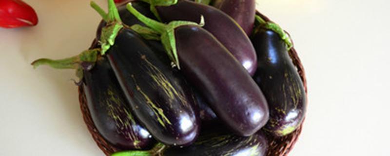 茄子定植多长时间浇缓苗水 茄子定植后几天浇缓苗水合适