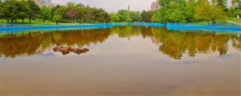 龙虾塘青苔如何清理（虾塘青苔怎么清除）