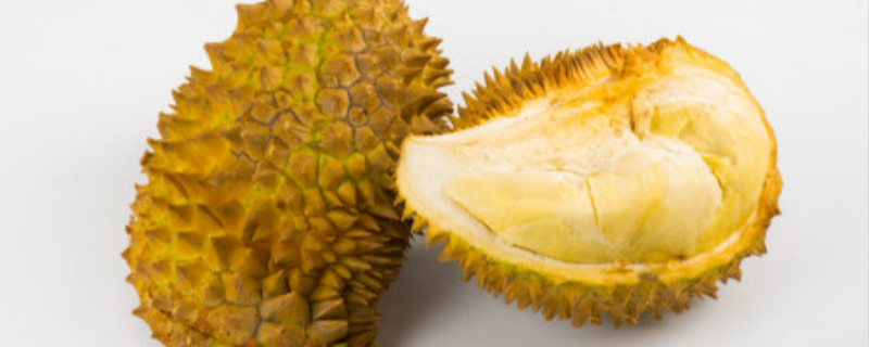 榴莲苗冬天怎样越冬 榴莲苗怎么过冬