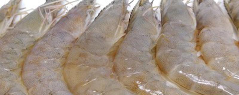 乳酸菌拌料喂虾方法 养虾用乳酸菌怎么拌料