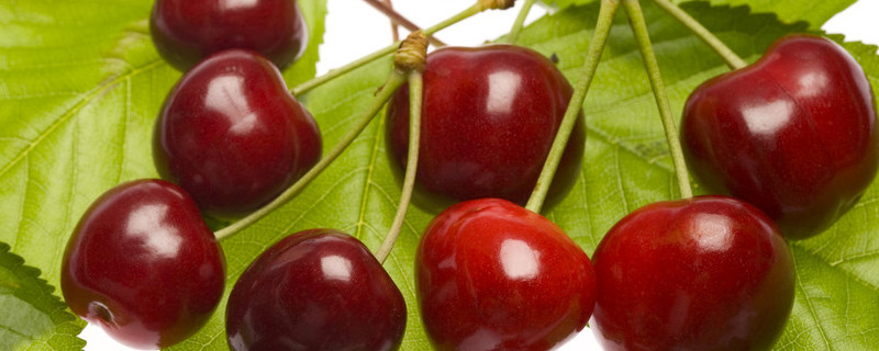 大棚樱桃裂果什么原因 大棚樱桃裂果什么原因造成的