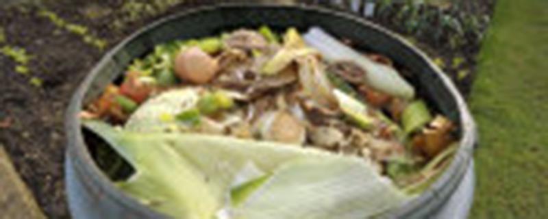 自己在家怎么堆肥（家中如何做堆肥）