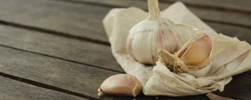 大蒜黄叶病用什么药（大蒜黄叶病用什么药最好）