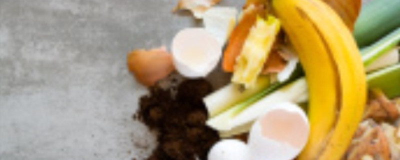 沤肥长蛆怎么处理 堆肥有蛆虫怎么处理