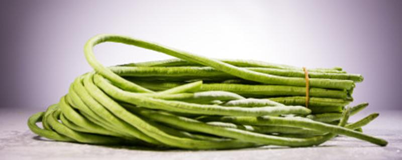 豆角苗长小黑虫怎么办（豆角苗生黑小芽虫怎么消灭）