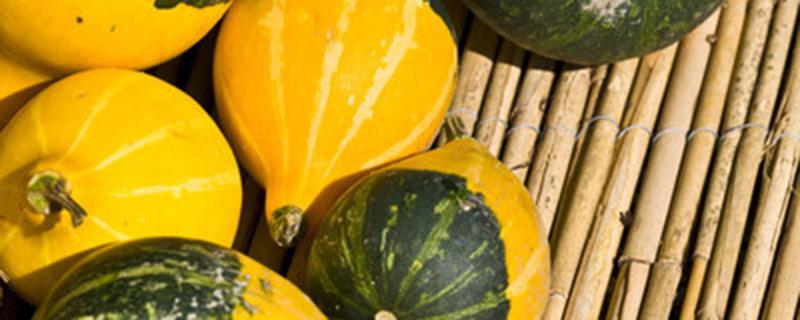 南瓜施肥一般施什么肥 南瓜要施什么肥