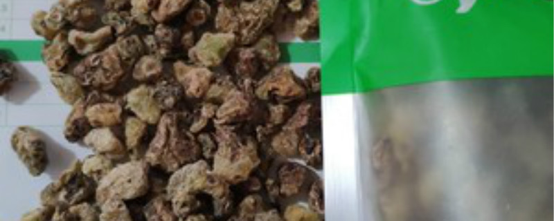 毛慈菇种子能繁殖能出来苗吗 毛慈菇种子怎么繁殖