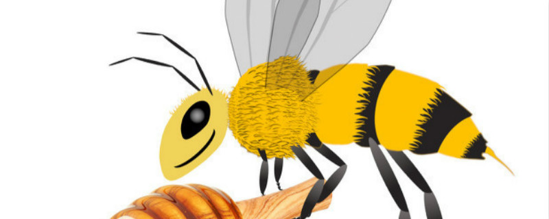 针蜂怕什么农药 针蜂用什么农药