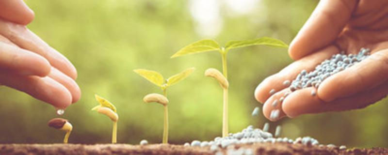 硅肥与磷酸二氢钾能混用吗 硅肥与磷酸二氢钾能混用吗有毒吗