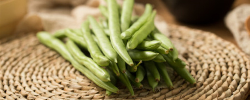 四季豆用什么肥料 四季豆用什么肥料长得快