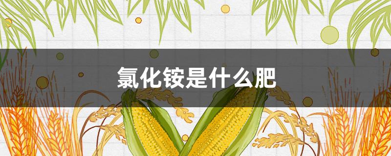 氯化铵是什么肥（氯化铵是什么肥料品种）