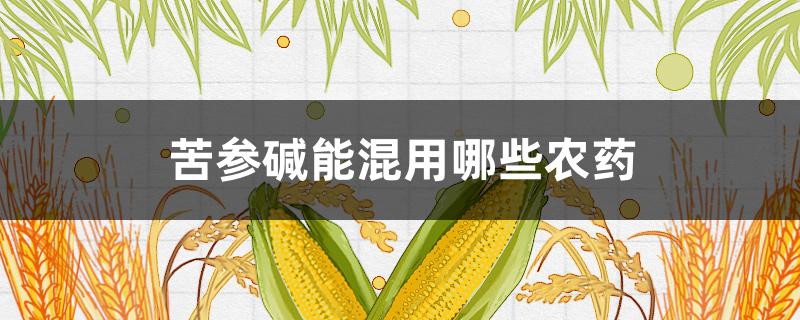 苦参碱能混用哪些农药 苦参碱农药的使用方法