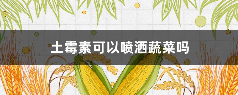 土霉素可以喷洒蔬菜吗 土霉素化水喷洒蔬菜有什么作用?