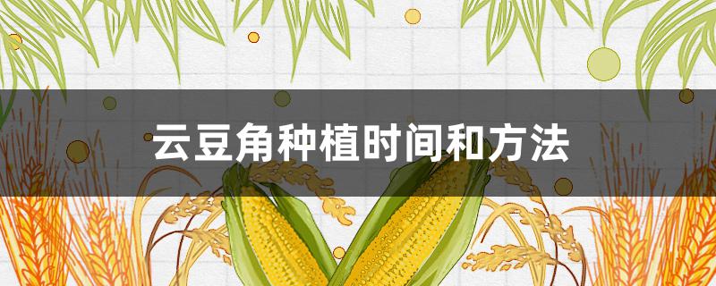 云豆角种植时间和方法 云豆角什么时间种合适