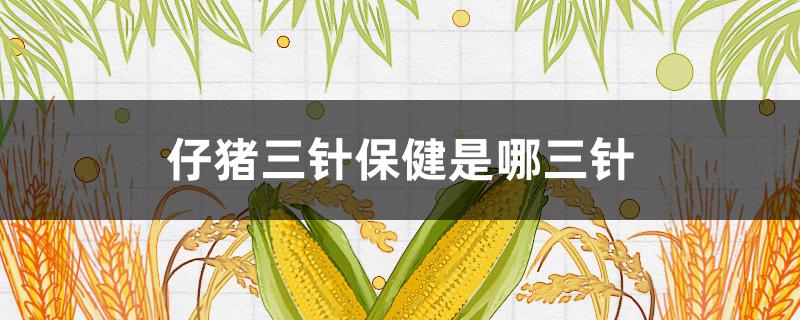 仔猪三针保健是哪三针(仔猪三针保健作用)